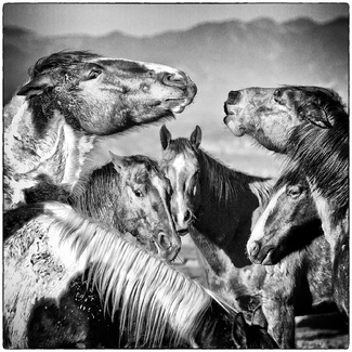 The Discussion The Discussion