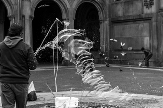 Bubbles and Birds Bubbles and Birds