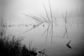 Click Reflection Click Reflection