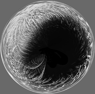 Inner Covid Inner Covid