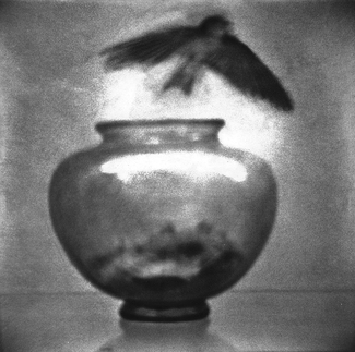 The Messenger Series: Ashes The Messenger Series: Ashes