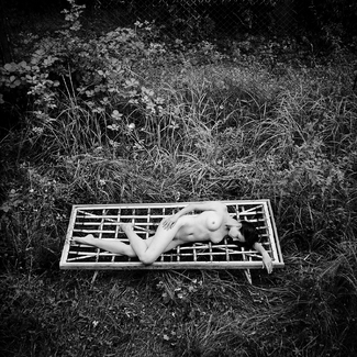 flower waltz flower waltz