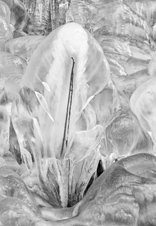 Ice Formation #1 Ice Formation #1