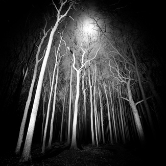 Standing Strong Standing Strong