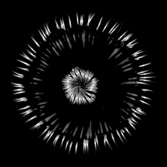 Ordinary things Ordinary things