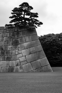 Nature is a part of Japanese architecture  Nature is a part of Japanese architecture