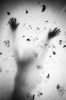 Lost Identity Lost Identity