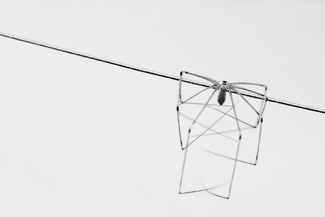 Spider on a Wire Spider on a Wire