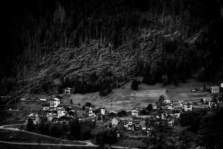 uprooted trees  uprooted trees