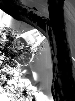 Building Facade, Barcelona, Spain Building Facade, Barcelona, Spain