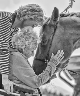Elderly and Equine Soul Elderly and Equine Soul