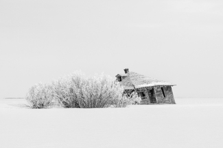Windblown, Victor, Idaho (IDw19-15) Windblown, Victor, Idaho (IDw19-15)