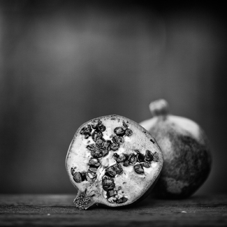 Picnic with Persephone Picnic with Persephone