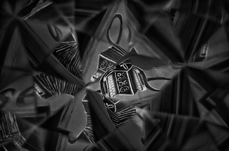 The Accordion The Accordion