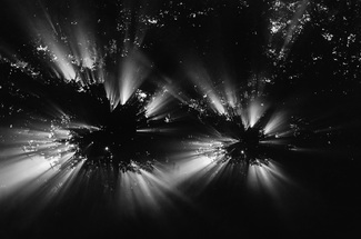 Sunrise Through the Trees Sunrise Through the Trees