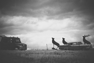 roadside holiday roadside holiday