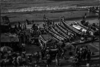 Bakau Beach Fish Market Bakau Beach Fish Market