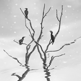 Nightmares and Dreamscapes Nightmares and Dreamscapes