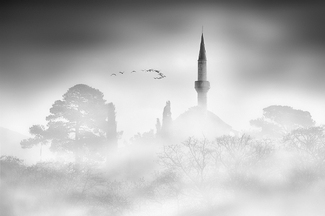 Beyond the Mist Beyond the Mist