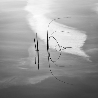 Reflection (1) Reflection (1)