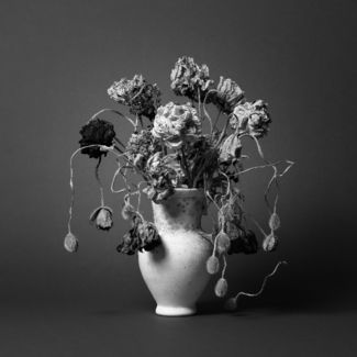 Withered Flowers