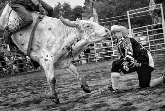 Rodeo Handler