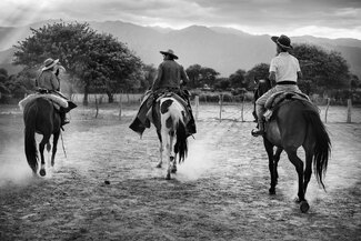 Gaucho Calchaquí Gaucho Calchaquí