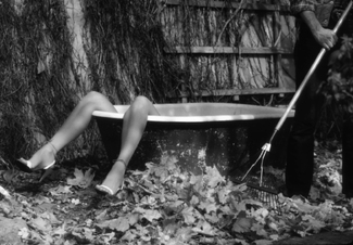 Legs and Leaves Legs and Leaves