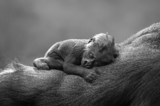 Holding Tight Holding Tight