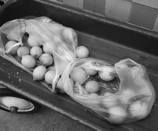 Wagon & Lemons Wagon & Lemons