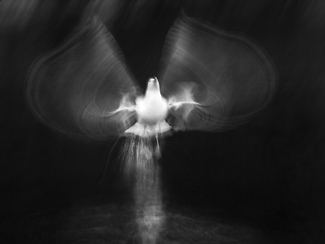 Heavenly Take-off Heavenly Take-off
