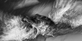 Teeth of Agression Teeth of Agression