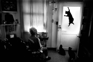 The Great Escape The Great Escape