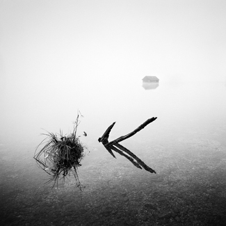 The Lake House The Lake House