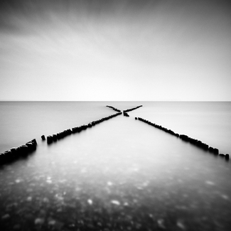 X - Factor X - Factor