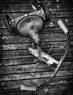 First Wheels First Wheels