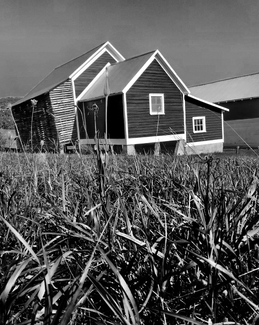 Burfiend Farm Burfiend Farm