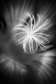 Tending to Our God Tending to Our God