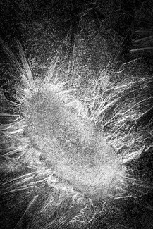 Arrival at Night Arrival at Night