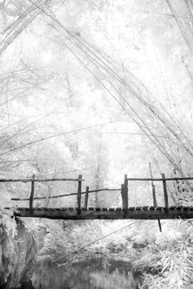 The Bridge That Time Forgot The Bridge That Time Forgot