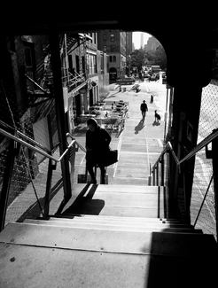 Walking the Dog, High Line Walking the Dog, High Line