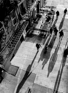 Walking the Dog in Chelsea Walking the Dog in Chelsea