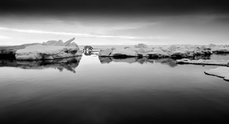 Polar Bear on drifting ice Polar Bear on drifting ice