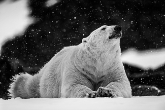 Life is good Life is good