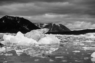 Summer night Summer night