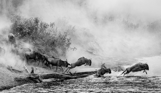 The River Crossing The River Crossing