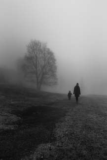 All She Saw Was a Silhouette of a Gun All She Saw Was a Silhouette of a Gun