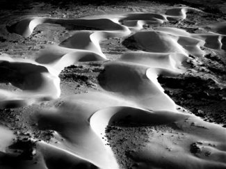 Barchan dunes 