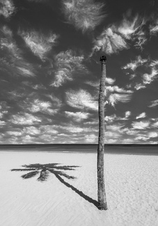 After the Storm After the Storm