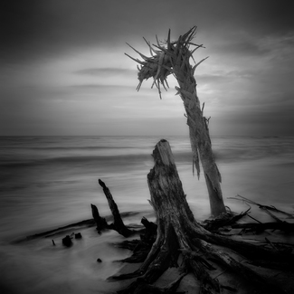 Vanishing, Stump Pass Beach, Florida Vanishing, Stump Pass Beach, Florida